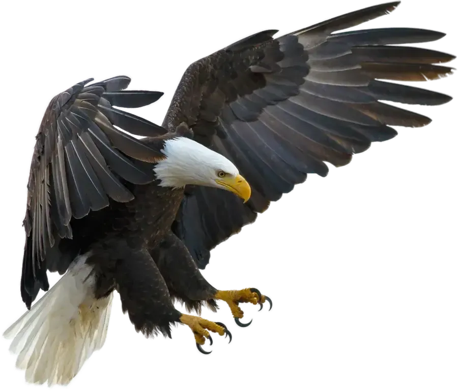 Mdawmdawmdawmdaw7qgraepd6cacehr zcfbfywxu2fyveayeunrgwctqqqltnerwweter63pcjycyco7l3wiuogn kt3kdxisuxleezsg0dkufccjsgzqqsaohdr379gmp1oxdelhxrvjgigky5yp9sjpqdgjozmzztmw5yenqteuz3uwnzmkipusaawhuyifgurdttvpwwblfn0j9r3eseqe039askrqgrlz1iykeeepowtaeksfovc7x 4twlegzazukzf70qgrj4lnpbci9dwdestjphink7tx1ldeu0ruaraa1g uwaai n jcvtukjwkfja0hs8f5uqnmgywf3w4k pudvz4ptruobech xkvm3ohoojhzzxs26keexhrzcyna0nf4wa